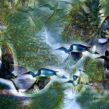 Photography titled "Vol d'oiseaux" by Florence Castelli  Flofloyd, Original Artwork