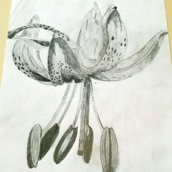 Drawing titled "Une belle fleur" by Florence Castelli  Flofloyd, Original Artwork, Pencil