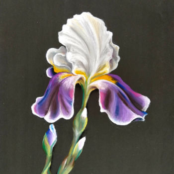 Pittura intitolato "Iris" da Mariam Mary Ellen, Opera d'arte originale, Pastello