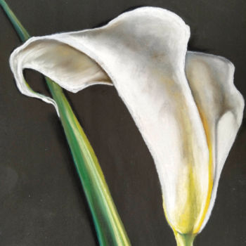 Pintura intitulada "White Calla" por Mariam Mary Ellen, Obras de arte originais, Pastel