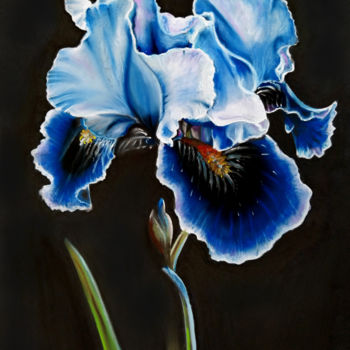 Painting titled "Blue Iris" by Mariam Mary Ellen, Original Artwork, Pastel