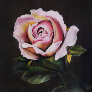 Malarstwo zatytułowany „Pink rose” autorstwa Mariam Mary-Ellen, Oryginalna praca, Pastel