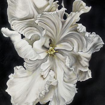 Peinture intitulée "White tulip" par Mariam Mary Ellen, Œuvre d'art originale, Huile
