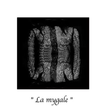 Fotografia intitolato "La mygale" da Marc Acquaviva, Opera d'arte originale