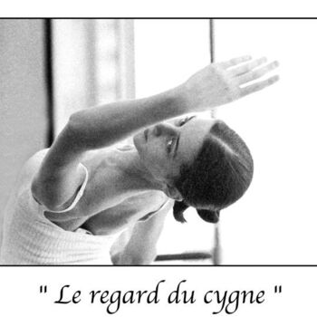 摄影 标题为“Le regard du cygne” 由Marc Acquaviva, 原创艺术品