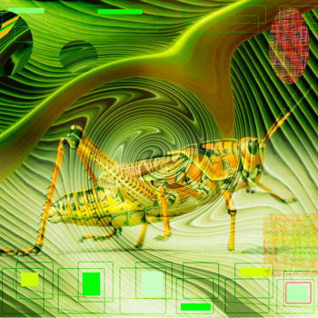 Digitale Kunst mit dem Titel "Green Locust" von Marc Bulyss, Original-Kunstwerk, Fotomontage