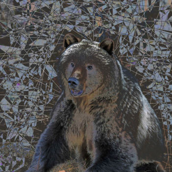 "Hopis Bear" başlıklı Dijital Sanat Marc Bulyss tarafından, Orijinal sanat, 2D Dijital Çalışma