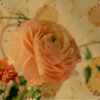 Arts numériques intitulée "Rose des Sables" par Marc Bulyss, Œuvre d'art originale, Peinture numérique