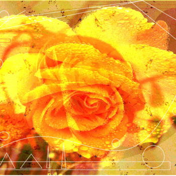 Arts numériques intitulée "Rose du Vent" par Marc Bulyss, Œuvre d'art originale, Peinture numérique
