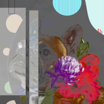 Digital Arts titled "Sérious Dog" by Marc Bulyss, Original Artwork, Digital Painting