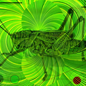 Digital Arts titled "Sidney Grasshopper" by Marc Bulyss, Original Artwork, Digital Painting