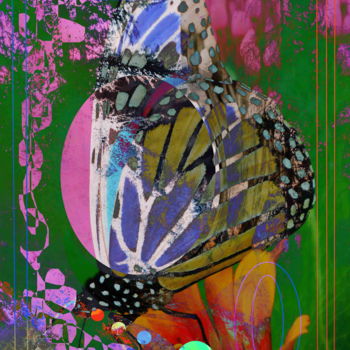 Digital Arts titled "fluttering Butterfly" by Marc Bulyss, Original Artwork, Digital Painting