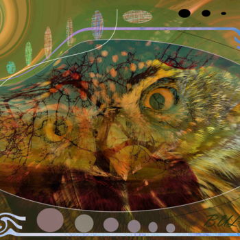 Grafika cyfrowa / sztuka generowana cyfrowo zatytułowany „Hulvent  Owl” autorstwa Marc Bulyss, Oryginalna praca, Malarstwo c…