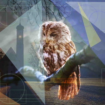 Arts numériques intitulée "Owl Orthodoxe" par Marc Bulyss, Œuvre d'art originale, Peinture numérique