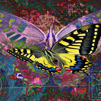 Arte digitale intitolato "B Like  Butterflye" da Marc Bulyss, Opera d'arte originale, Pittura digitale