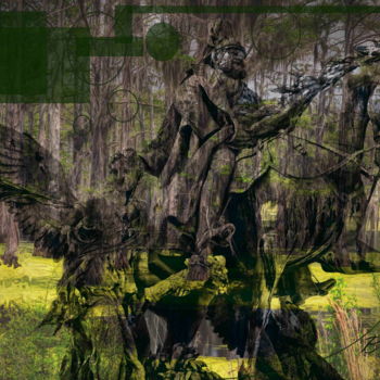 Arts numériques intitulée "Cajun Marsh ghost" par Marc Bulyss, Œuvre d'art originale, Peinture numérique