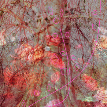 Digital Arts titled "Dream Catcher" by Marc Bulyss, Original Artwork, Digital Painting