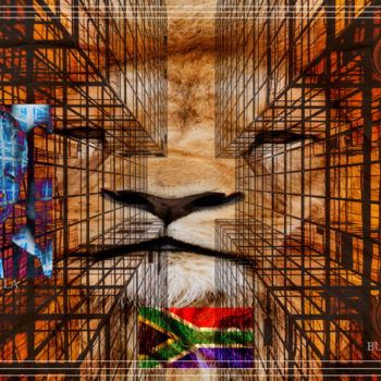 Digital Arts titled "Mandela ( the Lion…" by Marc Bulyss, Original Artwork, Digital Painting