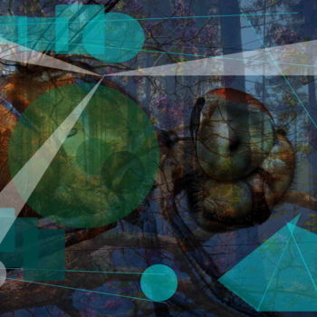 Digital Arts titled "Nostrasedérium" by Marc Bulyss, Original Artwork, Digital Painting