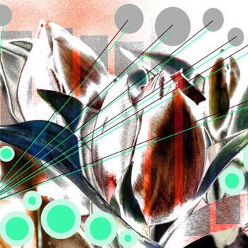 Arts numériques intitulée "Tulip in transition" par Marc Bulyss, Œuvre d'art originale, Peinture numérique