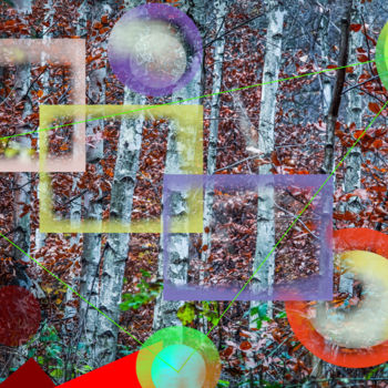 Arts numériques intitulée "Merlin forêts" par Marc Bulyss, Œuvre d'art originale, Peinture numérique