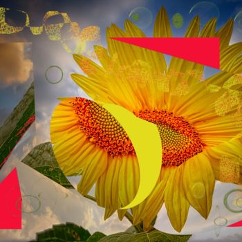 Arts numériques intitulée "Sun  flower composi…" par Marc Bulyss, Œuvre d'art originale, Travail numérique 2D