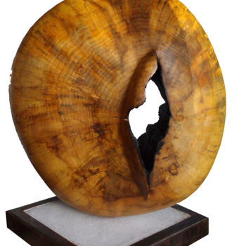 Sculpture titled "passage" by Marc De Smedt, Original Artwork, Wood