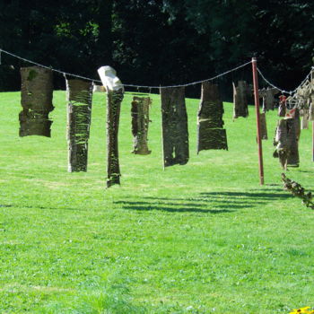 Installation intitulée "mues" par Marc De Smedt, Œuvre d'art originale