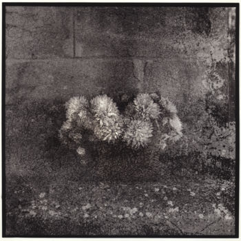 Fotografía titulada "Stone flowers - 1/7" por Marc Paraskeva, Obra de arte original, Fotografía analógica Montado en Cartuli…