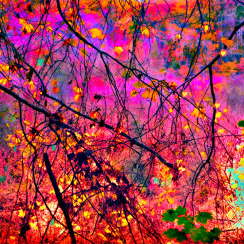 Photography titled "Autumn Blaze" by Marc Vandermeer, Original Artwork, Manipulated Photography