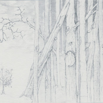 Desenho intitulada "Forêt étrange" por Marc Vuillermoz, Obras de arte originais, Grafite