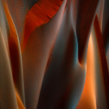 Photography titled "Torrid Iris" by Marek Boguszak, Original Artwork, Digital Photography Mounted on Plexiglass
