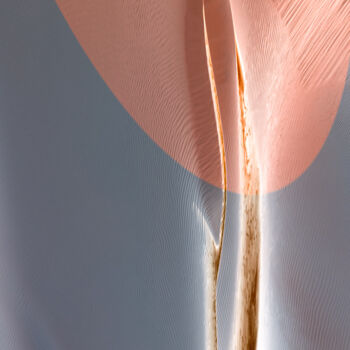 摄影 标题为“Tender Leaf” 由Marek Boguszak, 原创艺术品, 数码摄影 安装在有机玻璃上