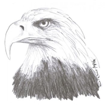 Dessin intitulée "eagle1.jpg" par Marek Kolanus, Œuvre d'art originale, Crayon