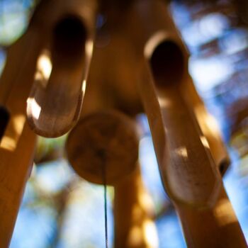 "Bambou" başlıklı Fotoğraf Marevann tarafından, Orijinal sanat, Dijital Fotoğrafçılık