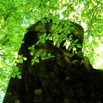 Fotografia intitulada "mazury 10" por Margalit (Malgorzata Krasucka), Obras de arte originais