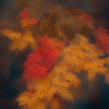 Fotografia zatytułowany „Herbst In Simulacru…” autorstwa Margarete Schrüfer, Oryginalna praca, Fotografia cyfrowa
