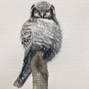Painting titled "The hawk-owl" by Margarita Gladilina, Original Artwork, Watercolor