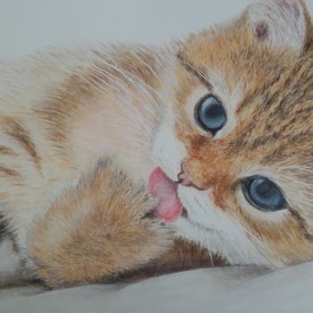 Painting titled "GATTO ROSSO" by Margherita Cavassa, Original Artwork, Watercolor