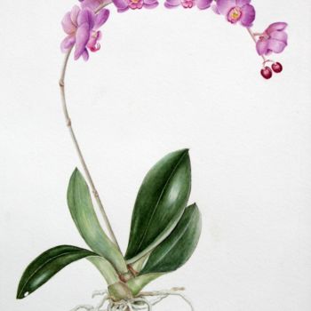 Schilderij getiteld "PHALAENOPSIS" door Margherita Cavassa, Origineel Kunstwerk