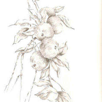 Dessin intitulée "Ah! les belles pomm…" par Marguerite Vanasse (Fleur'Art Maggie), Œuvre d'art originale, Autre