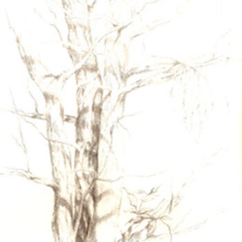 Drawing titled "Le vieil arbre" by Marguerite Vanasse (Fleur'Art Maggie), Original Artwork, Other