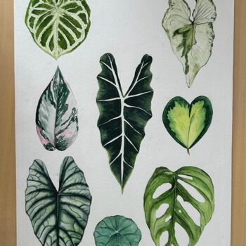 Painting titled "Green collection" by María Emilia Villegas, Original Artwork, Watercolor