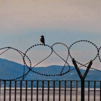 Photographie intitulée "Freedom" par Athenslight, Œuvre d'art originale