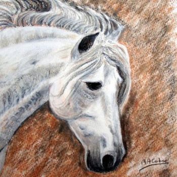 Painting titled "Tête de cheval blanc" by Marian Cobos, Original Artwork