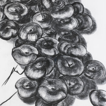 Картина под названием "Персики. Часть I  T…" - Marianna Chayka, Подлинное произведение искусства, Древесный уголь Установлен…