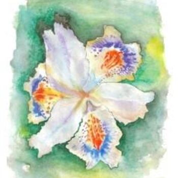 Картина под названием "Iris" - Marianna Farano, Подлинное произведение искусства