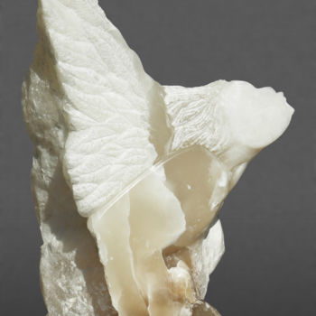 Sculpture intitulée "" Mi Ange - Mi Démo…" par Marianne Monnoye-Termeer, Œuvre d'art originale, Pierre