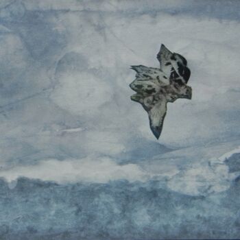 Pintura titulada "vol libre" por Marie-Annick Radigois, Obra de arte original, Acuarela