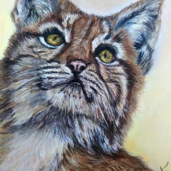 Painting titled "Jeune Lynx" by Mariebretonne, Original Artwork, Pastel